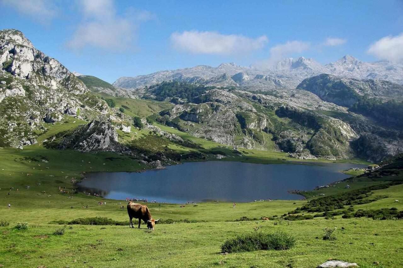 Orelleiru Casa Rural La Carrozal Senda Del Oso מראה חיצוני תמונה
