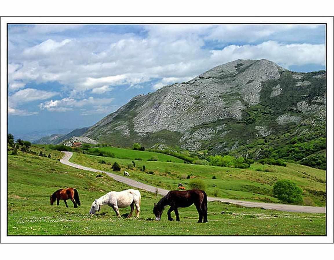 Orelleiru Casa Rural La Carrozal Senda Del Oso מראה חיצוני תמונה
